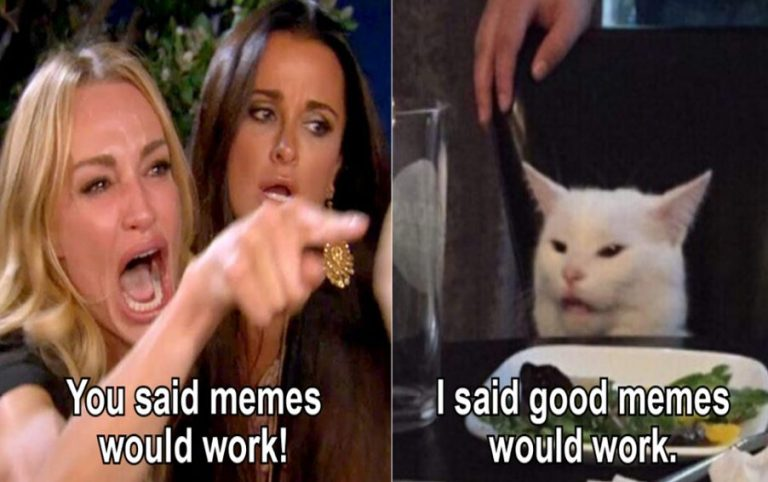 Angry woman and cat meme